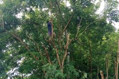 KEPYAKAN-GOTONG-ROYONG-SEDUSUN-1