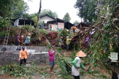 PENANGANAN-RUMPUN-BAMBU-TUMBANG-2