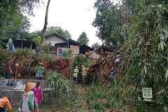 PENANGANAN-RUMPUN-BAMBU-TUMBANG-5