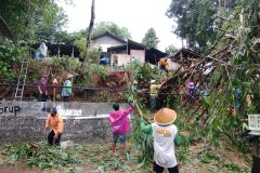 PENANGANAN-RUMPUN-BAMBU-TUMBANG-6